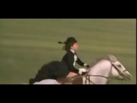 Szentivánéji álom