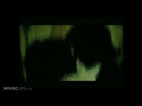 Őrült és gyönyörű