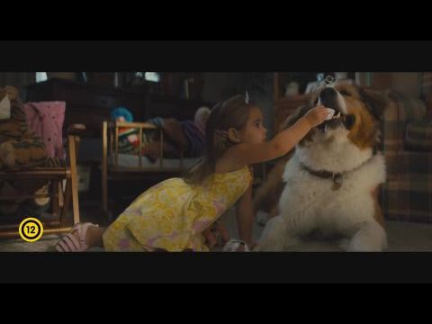 Egy kutya négy útja