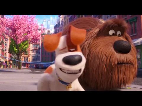 A kis kedvencek titkos élete 2