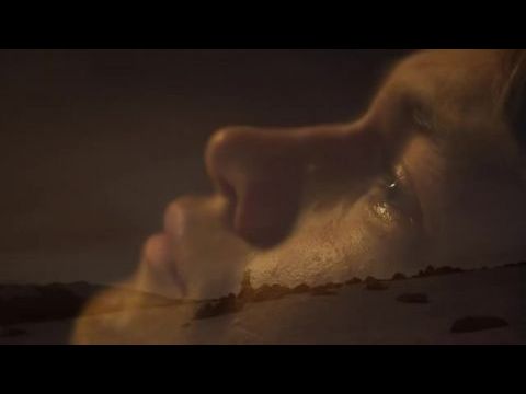 The Name of the Rose