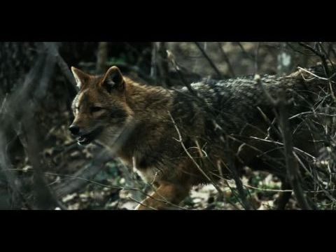 Aqua Hungarica - Vad Víz