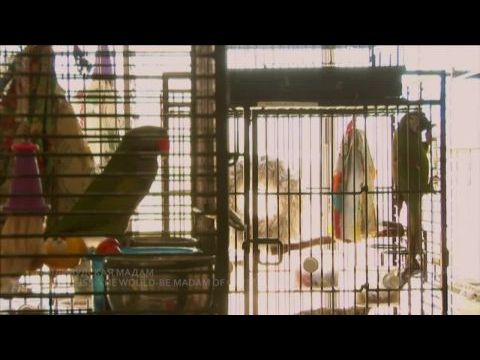 Heidi Fleiss: Hollywood Madame-ja