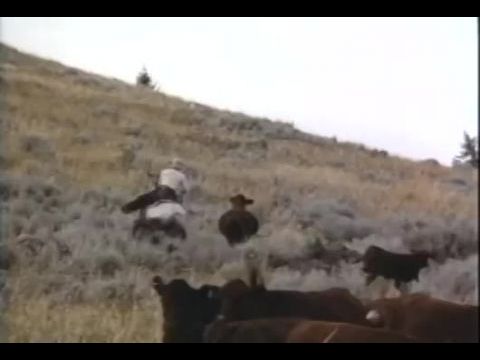 Montana - Perzselő szenvedélyek