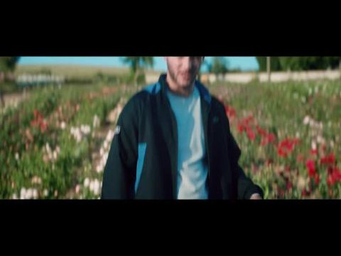 A rózsák királynője