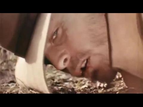 Drágán adom a bőröm