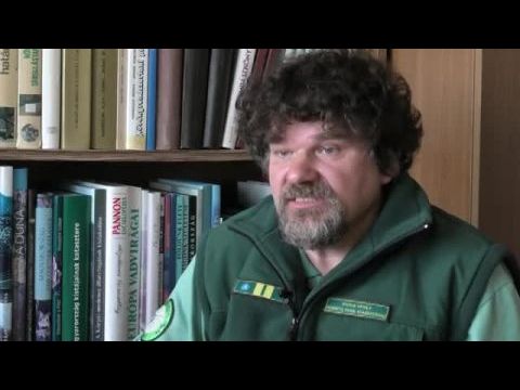 Közlegények – A kárókatona-per