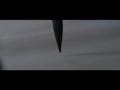 The Lines that Define Me