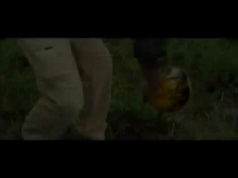 Rejtőzködő fenevadak