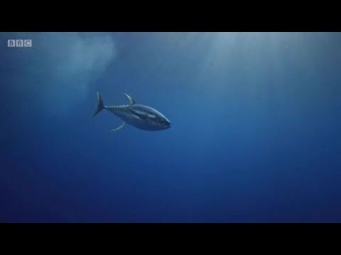 What Britain Buys and Sells in a Day