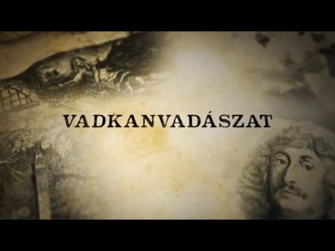 Vadkanvadászat
