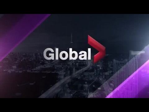 Éber szemek (Privát kopók)