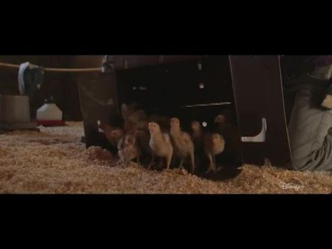 A legnagyobb kis farm: A visszatérés