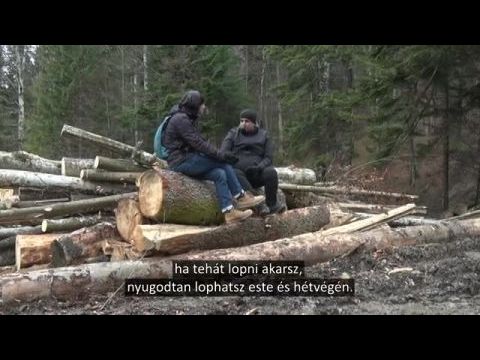 Erdők nélkül nincs Erdély