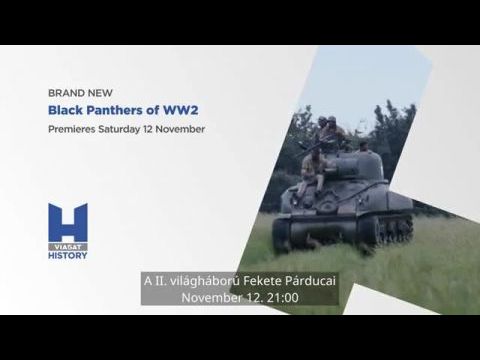 A II. világháború Fekete Párducai