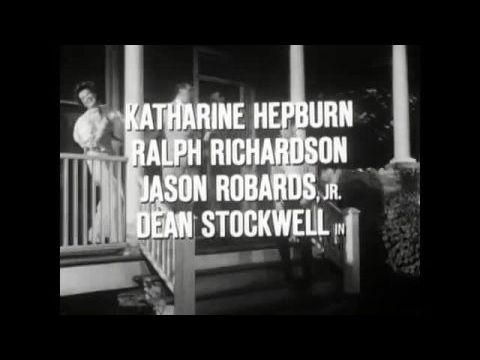 Hosszú út az éjszakába