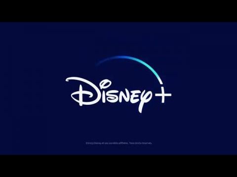 El grito de las mariposas