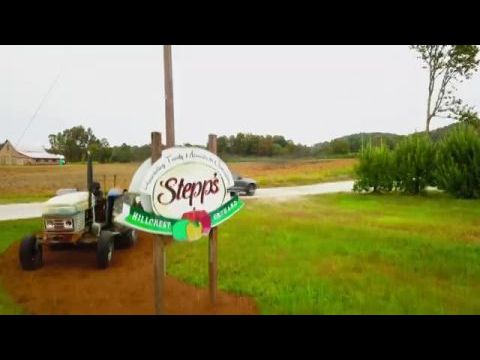 Szerelem 10 lépésre