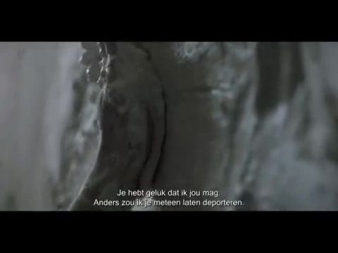 A testvérek földjén