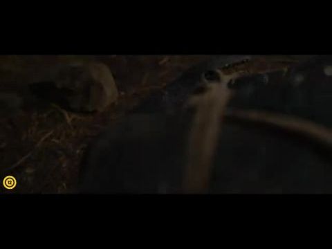 Így neveld a sárkányodat