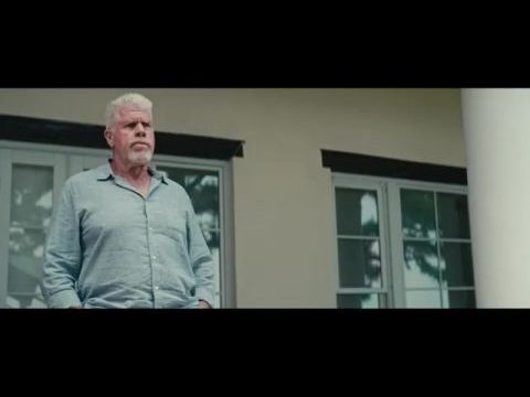 Joe Baby