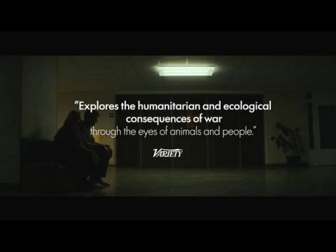 Animals in War