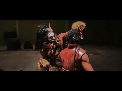 Immortal Combat