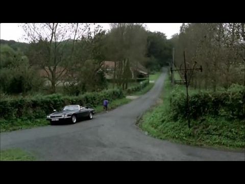 Szkafander és pillangó