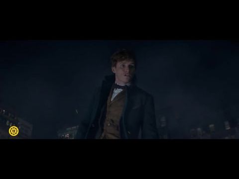 Legendás állatok és megfigyelésük