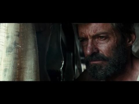 Logan - Farkas