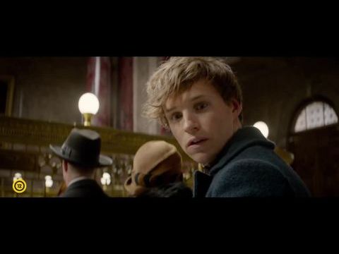 Legendás állatok és megfigyelésük