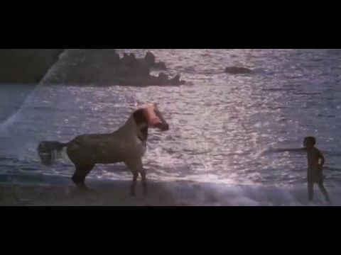 Fekete Villám: A fekete táltos