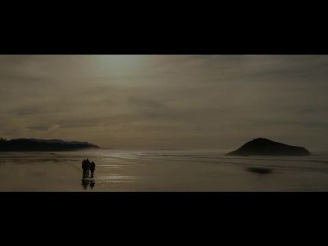 A majmok bolygója: Háború