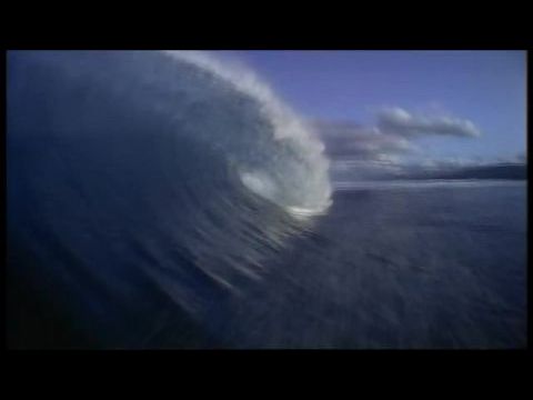SeaQuest - A mélység birodalma