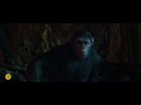 A majmok bolygója: Háború