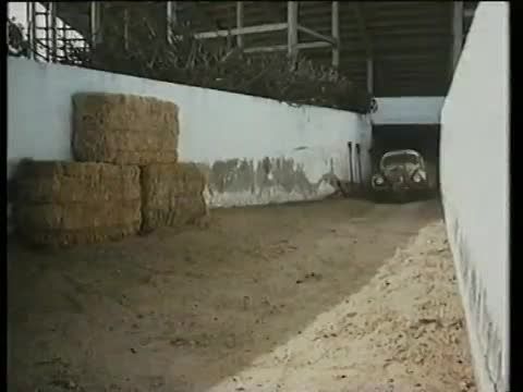 A kicsi kocsi legújabb kalandjai