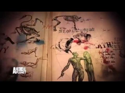 A hét állati főbűn