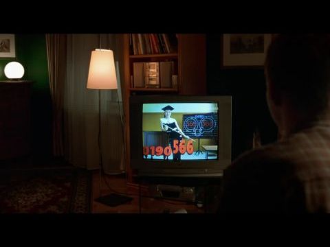 Hangyák a gatyában