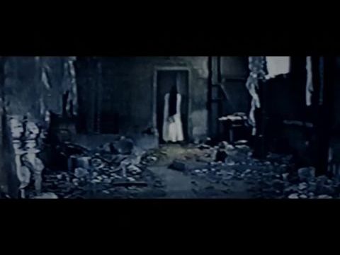 Sadako vs. Kayako