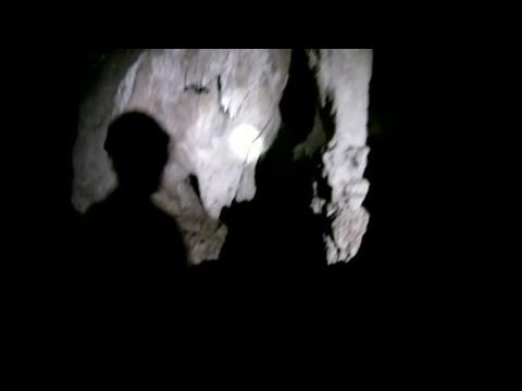 Alien Origin: A kezdet