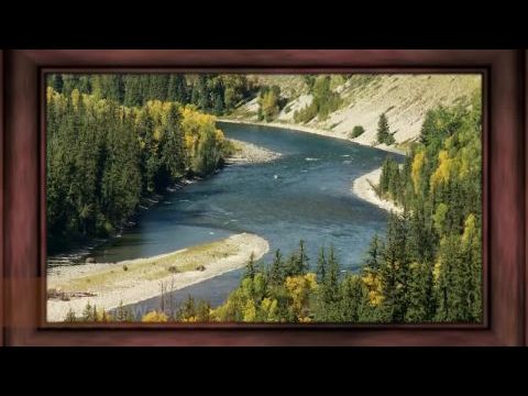 Your Brush with Nature