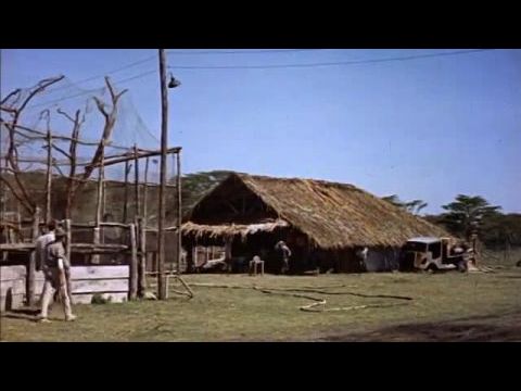 Állatfogó kommandó