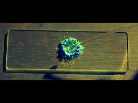 Smetto quando voglio: Masterclass