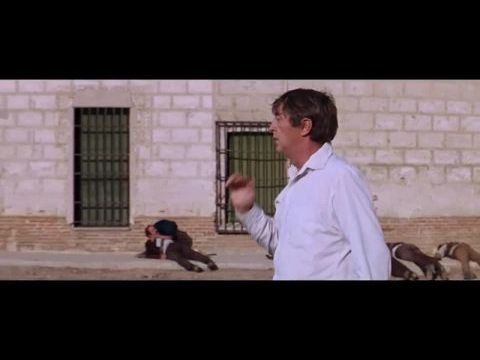 Arnold, a bajkeverő