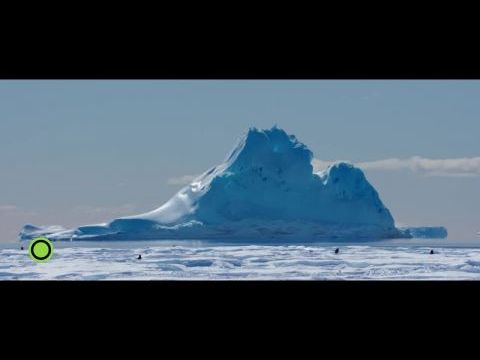 Pingvinek vándorlása 2.