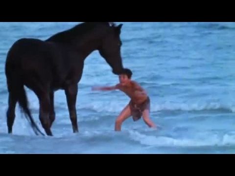 A Fekete Villám visszatér