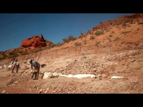 Raising the Dinosaur Giant