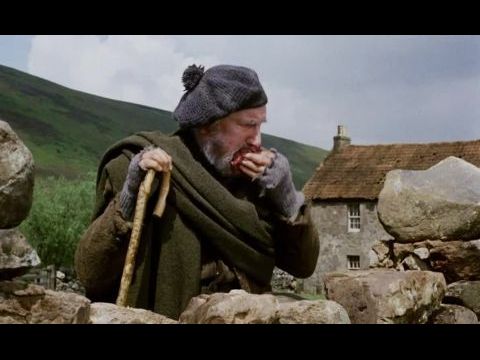 Bobby, a hűséges terrier