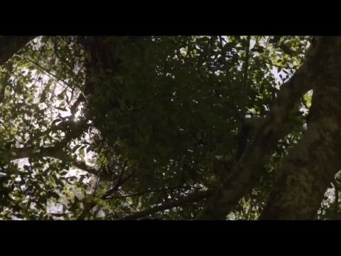 Ejercicios de memoria