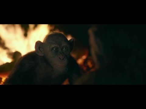 A majmok bolygója: Háború